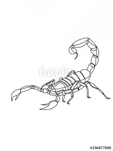 375x500 Scorpion Cartoon Illustration Coloring Drawing Stock Photo - Scorpion Tail Drawing