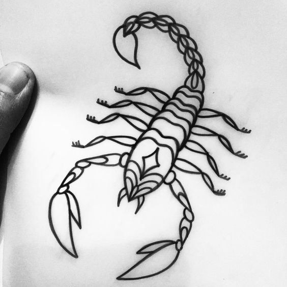 564x564 Nice Scorpion Tattoo Sketch - Scorpion Tattoo Drawing