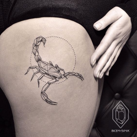 564x564 Scorpion Tattoos - Scorpion Tattoo Drawing
