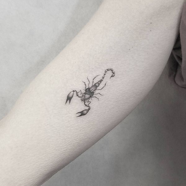 Scorpion Tattoo Drawing at PaintingValley.com | Explore collection of ...