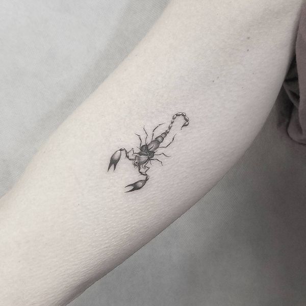 600x600 Scorpion Tattoos Meaning - Scorpion Tattoo Drawing
