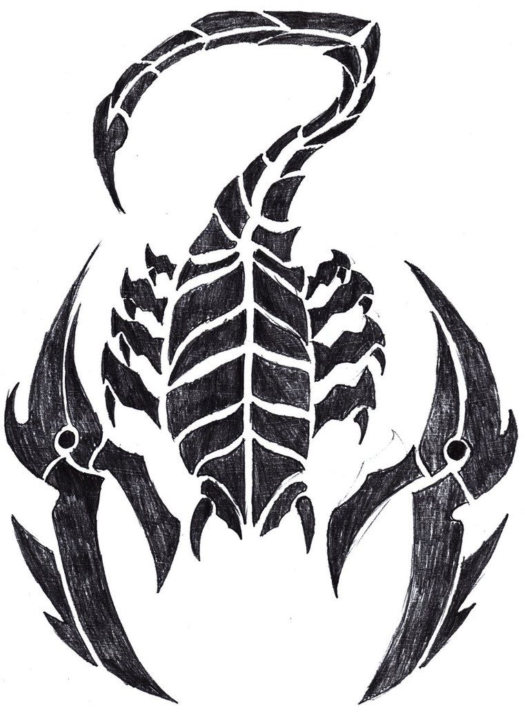 761x1049 Tribal Scorpion Tattoo Drawing Tattoos Tattoos, Exotic Flower - Scorpion Tattoo Drawing