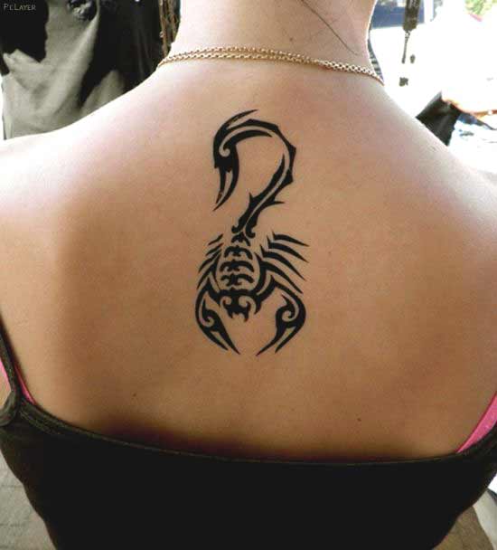 93 Free Download Tattoo Ideas Scorpio Idea Tattoo Images