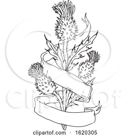 450x470 Scottish Thistle With Ribbon Drawing Black And White - Scotch Thistle Drawing