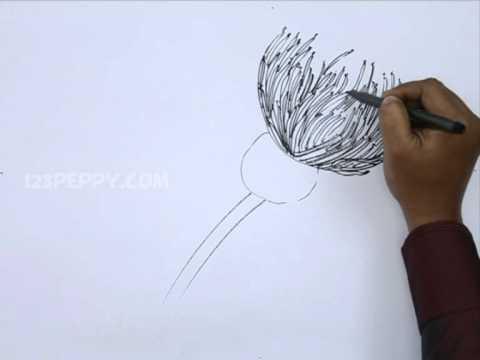 480x360 How To Draw An Alphins Thistle - Scotch Thistle Drawing