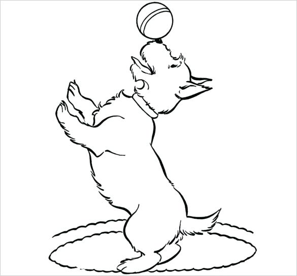 585x544 dog colouring pages coloring draw a for kids painting and scottie - Scottie Dog Drawing