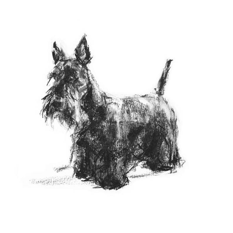 Scottie Dog Drawing at PaintingValley.com | Explore collection of ...