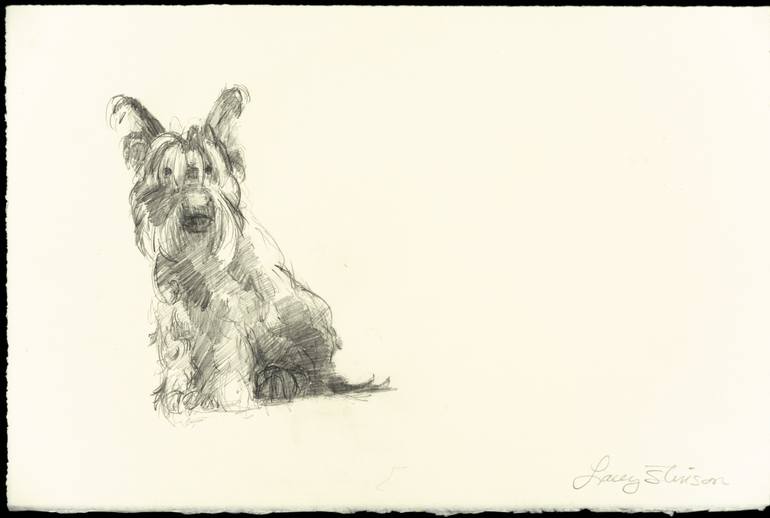 770x518 forward facing scottie dog drawing - Scottie Dog Drawing