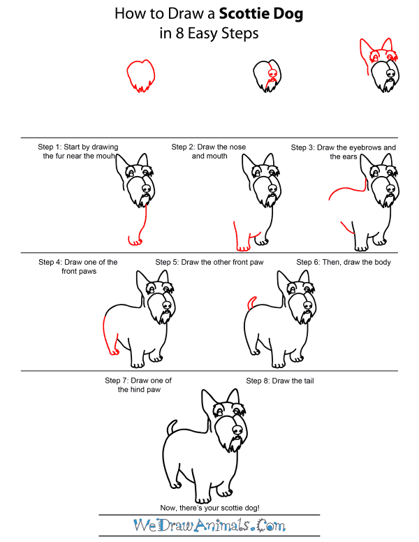 600x776 how to draw a scottie dog - Scottie Dog Drawing