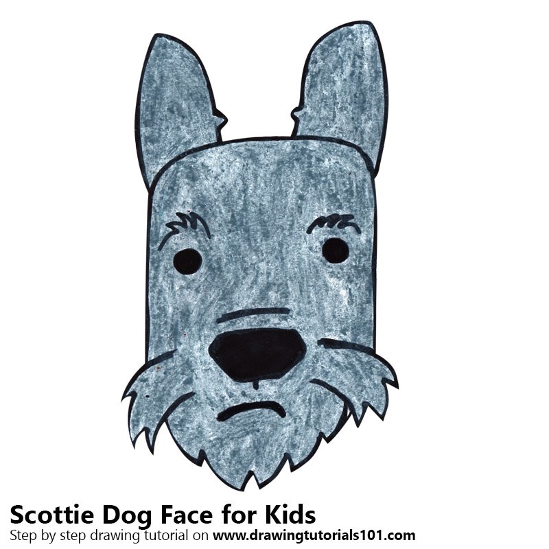 800x800 learn how to draw a scottie dog face for kids - Scottie Dog Drawing