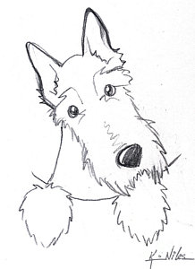 218x300 pocket scottie sketch drawing - Scottie Dog Drawing