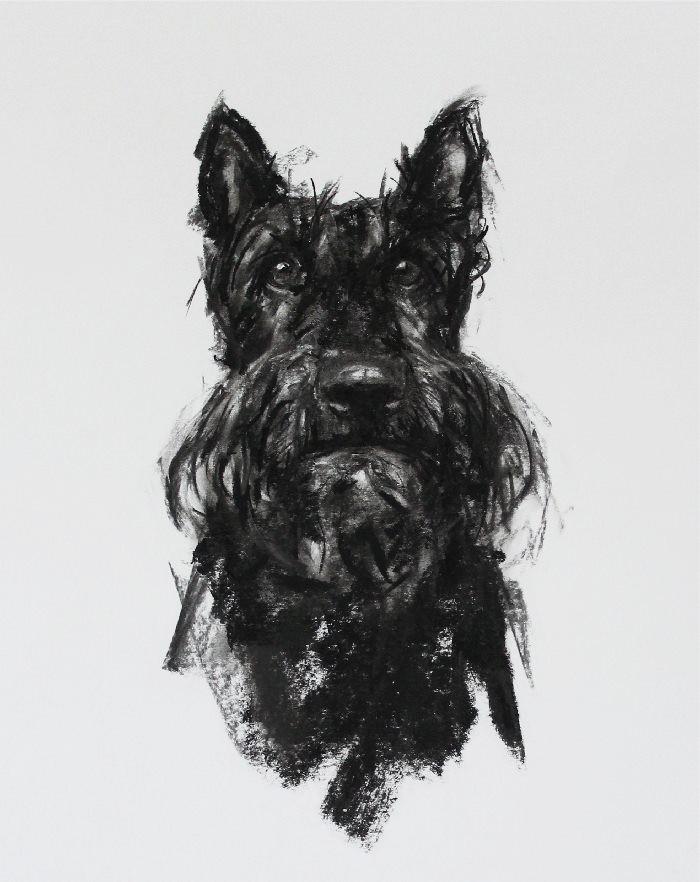 700x882 scottie dog - Scottie Dog Drawing