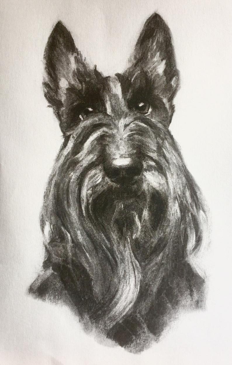 794x1246 scottie dog drawing scottish terrier art scottie etsy - Scottie Dog Drawing