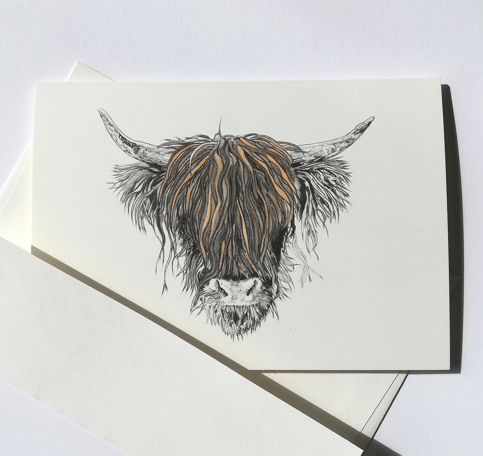 1587x1497 scottish cow greetings card, animal drawings from scotland - Scottish Drawings