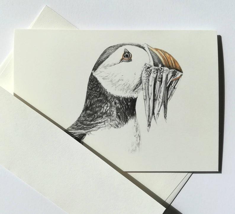 794x725 scottish puffin greetings card animal drawings from scotland etsy - Scottish Drawings