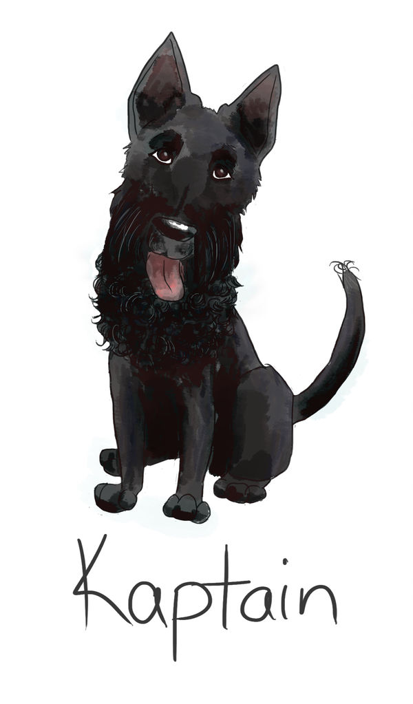600x1023 drawing dog scottish terrier - Scottish Terrier Drawing