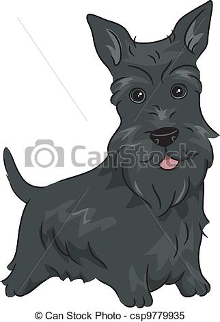 322x470 illustration featuring a scottish terrier - Scottish Terrier Drawing