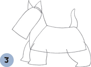 359x263 scottish terrier - Scottish Terrier Drawing