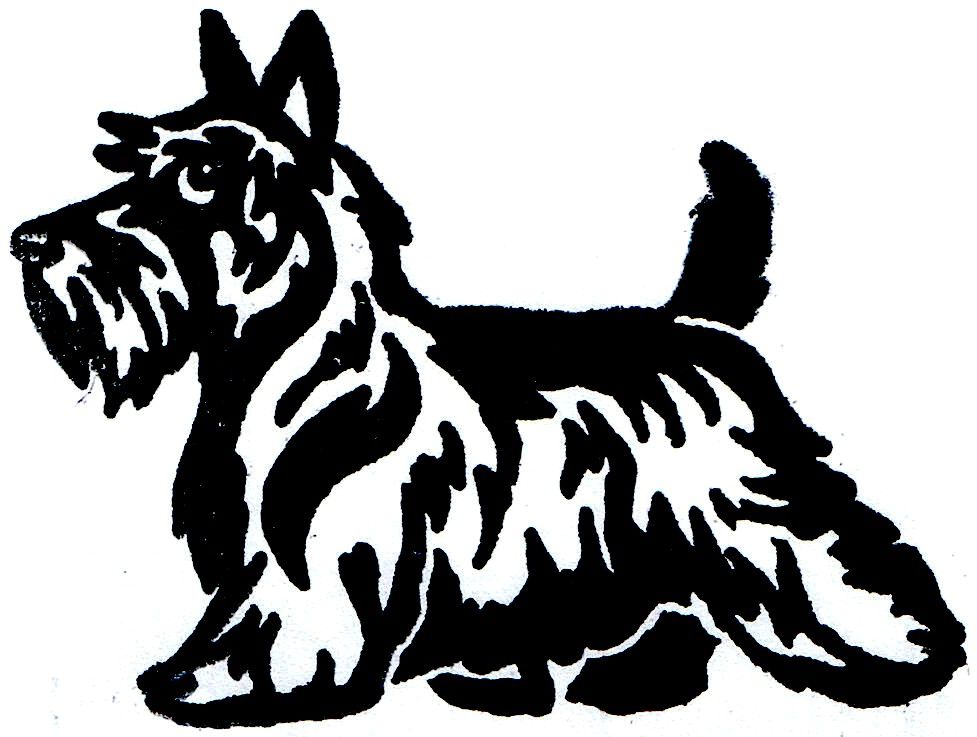 977x737 terrier drawing scottie dog for free download - Scottish Terrier Drawing