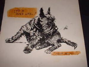 300x225 signed advertising illustration drawing - Scottish Terrier Drawing