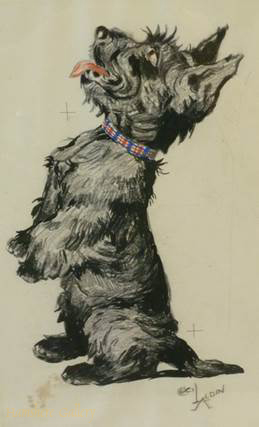 259x427 Stock Page - Scottish Terrier Drawing