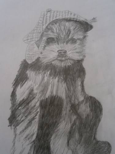 375x500 little scottish terrier drawing - Scottish Terrier Drawing