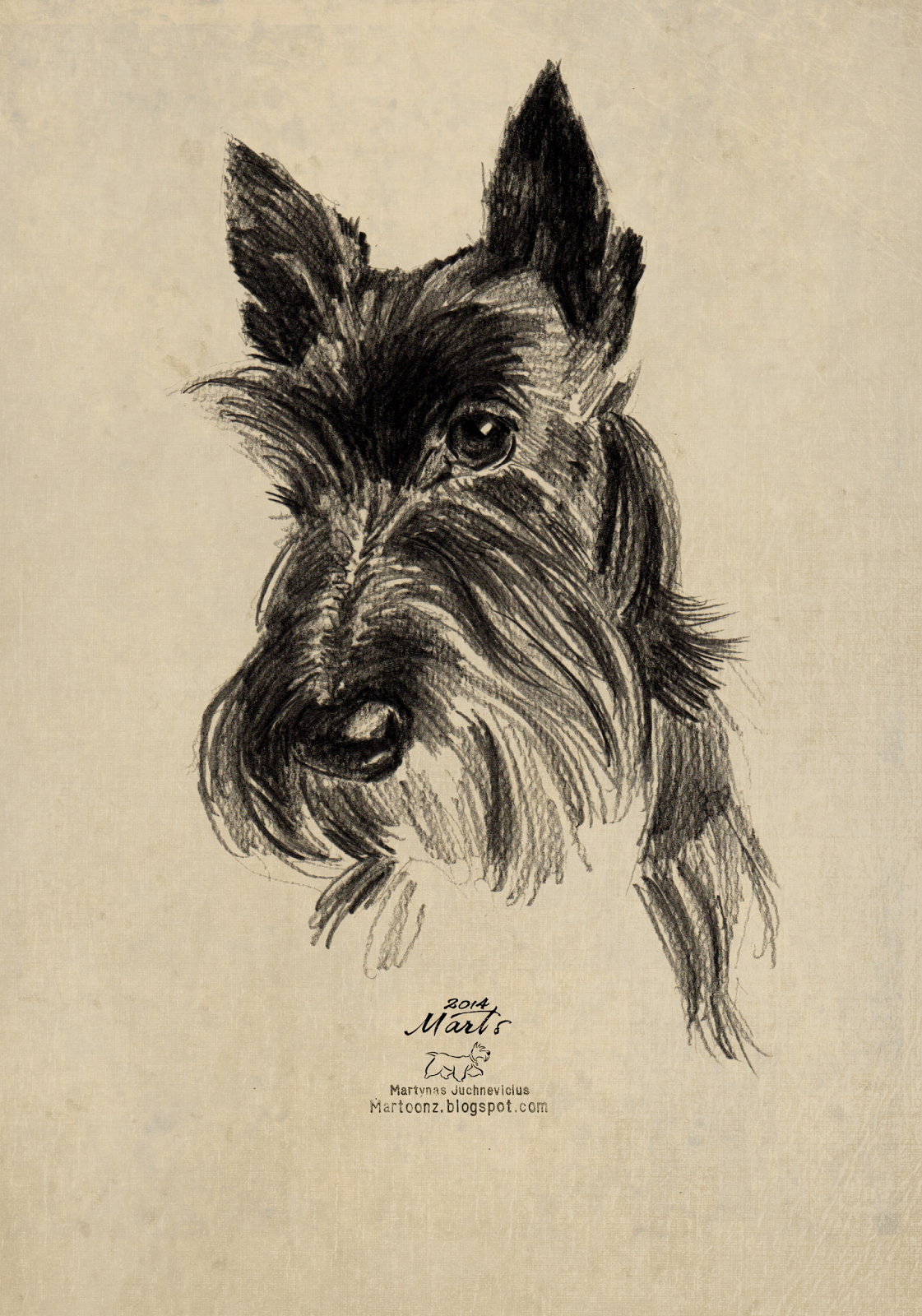 1121x1600 black and white scottish terrier drawing - Scottish Terrier Drawing