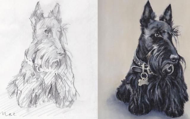 640x402 Bonnie Portraits - Scottish Terrier Drawing