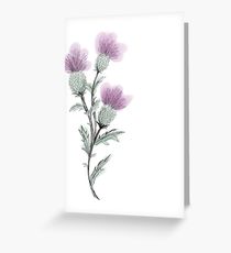 210x230 scotland drawing greeting cards redbubble - Scottish Thistle Drawing