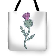 180x180 scottish thistle drawing digital art - Scottish Thistle Drawing