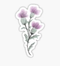 210x230 scottish thistle drawing stickers redbubble - Scottish Thistle Drawing