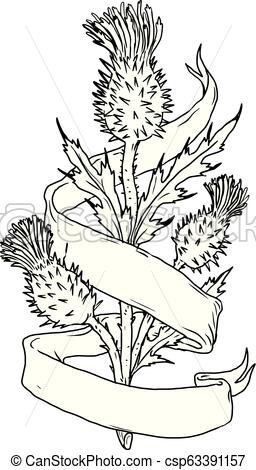 256x470 scottish thistle with ribbon drawing black and white drawing - Scottish Thistle Drawing