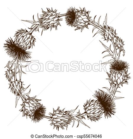 450x470 decorative wreath with onopordum acanthium scottish thistle - Scottish Thistle Drawing