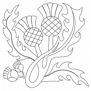 300x300 Scottish Thistle Sweet Dreams Quilt Studio - Scottish Thistle Line Drawing