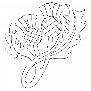 300x300 Scottish Thistle Sweet Dreams Quilt Studio - Scottish Thistle Line Drawing