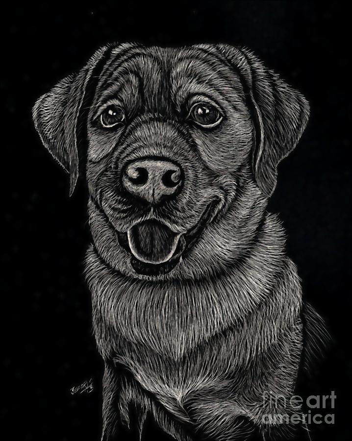 718x900 labrador scratch drawing - Scratch Drawing