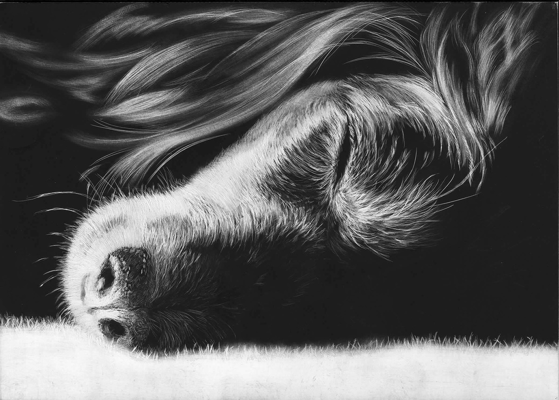 Scratchboard Drawings at Explore collection of