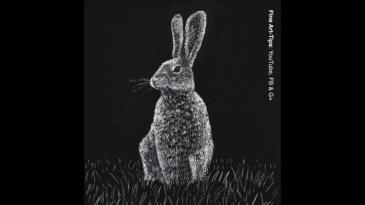 1280x720 how to draw a hare - Scratchboard Drawings