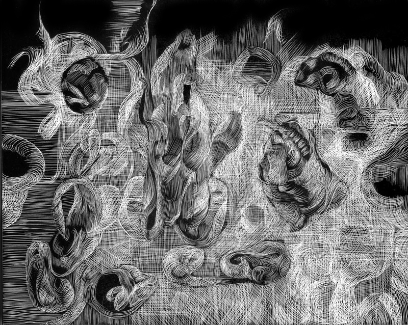 800x638 kathryn jacobi studio scratchboard drawings organic fractiles - Scratchboard Drawings