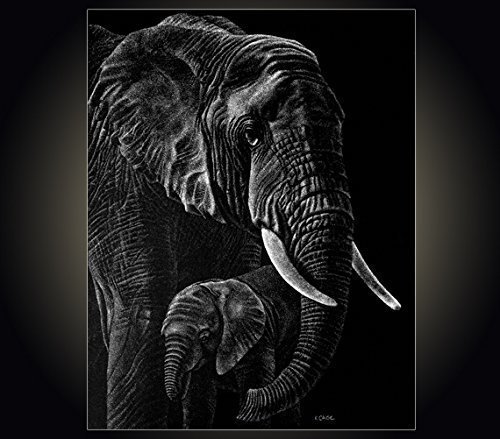 500x439 lithograph print elephants a pen and ink on scratchboard drawing - Scratchboard Drawings