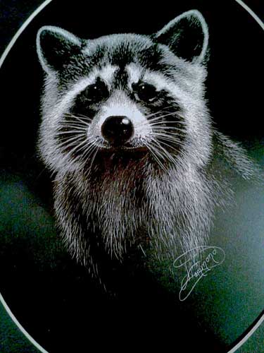 375x500 scratchboard, scratchboard art, how to draw on scratchboard, lee - Scratchboard Drawings