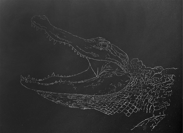 600x438 scratchboard art technique step - Scratchboard Drawings