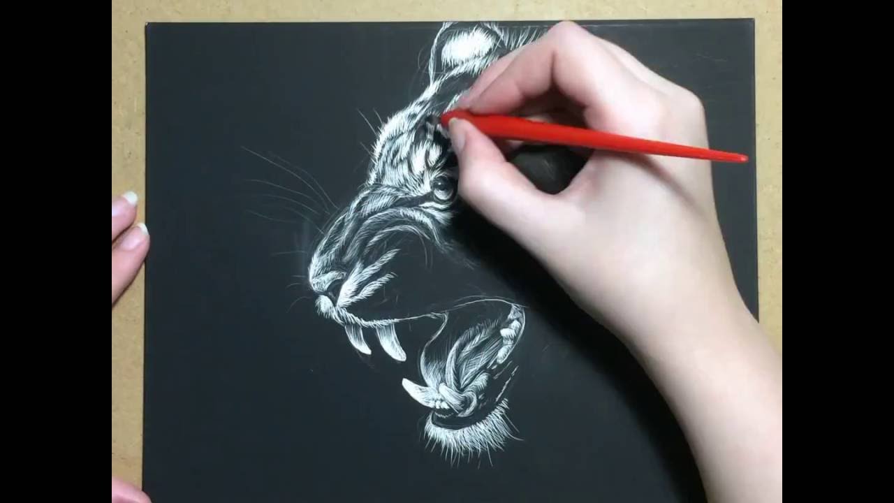 1280x720 tiger scratchboard drawing time lapse art - Scratchboard Drawings