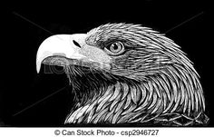236x151 scratch board art - Scratchboard Drawings