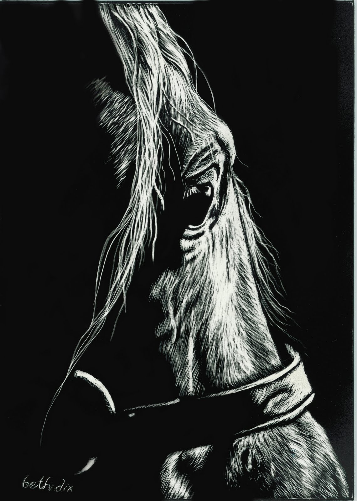 1140x1600 beth dix artembroidery and quilting! scratchboard drawings - Scratchboard Drawings