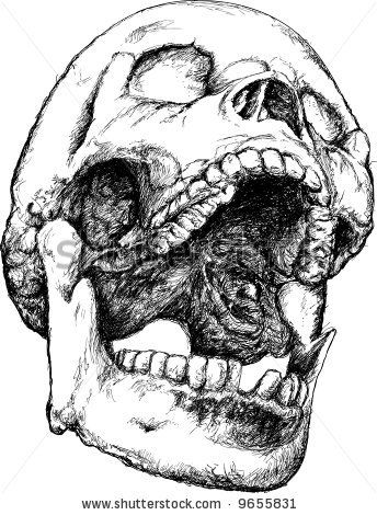 344x470 screaming skull skulls in skull illustration, skull art - Screaming Skull Drawing
