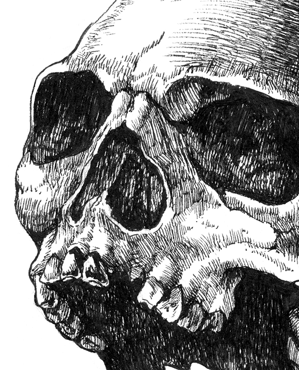 600x741 Screaming Skull On Student Show - Screaming Skull Drawing