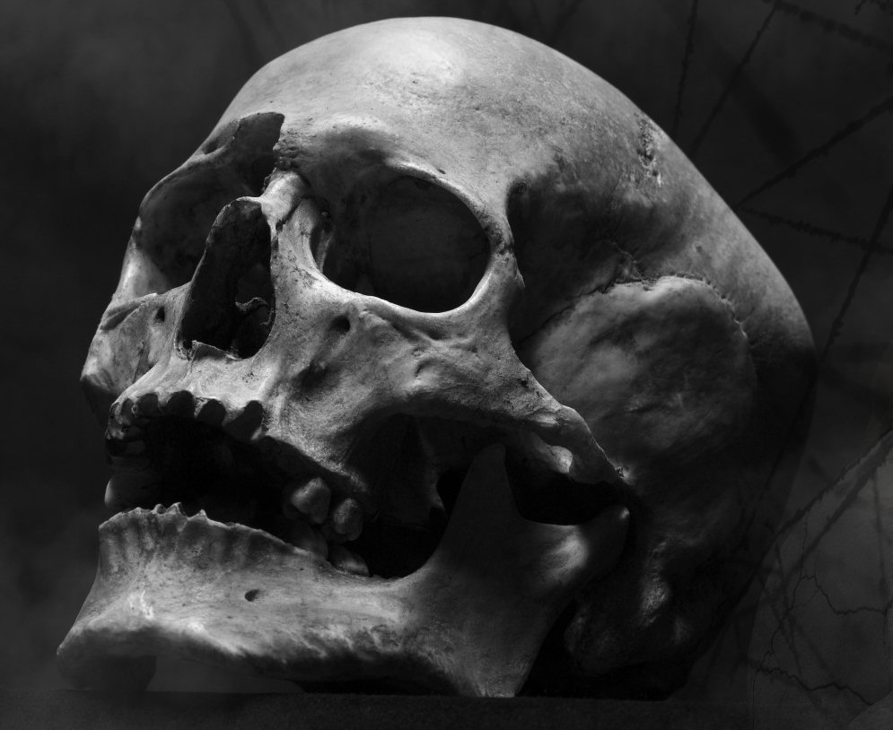 995x814 The Screaming Skull - Screaming Skull Drawing