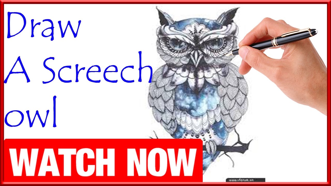 1280x720 how to draw a screech owl - Screech Owl Drawing