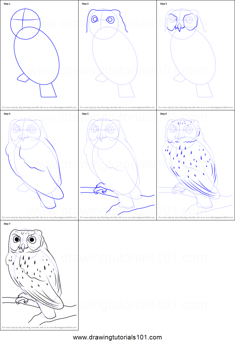 751x1107 how to draw a western screech owl printable step - Screech Owl Drawing
